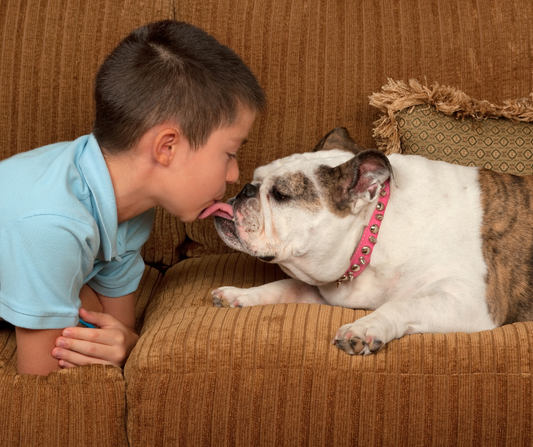 Cane e bambino:mai lasciarli da soli!