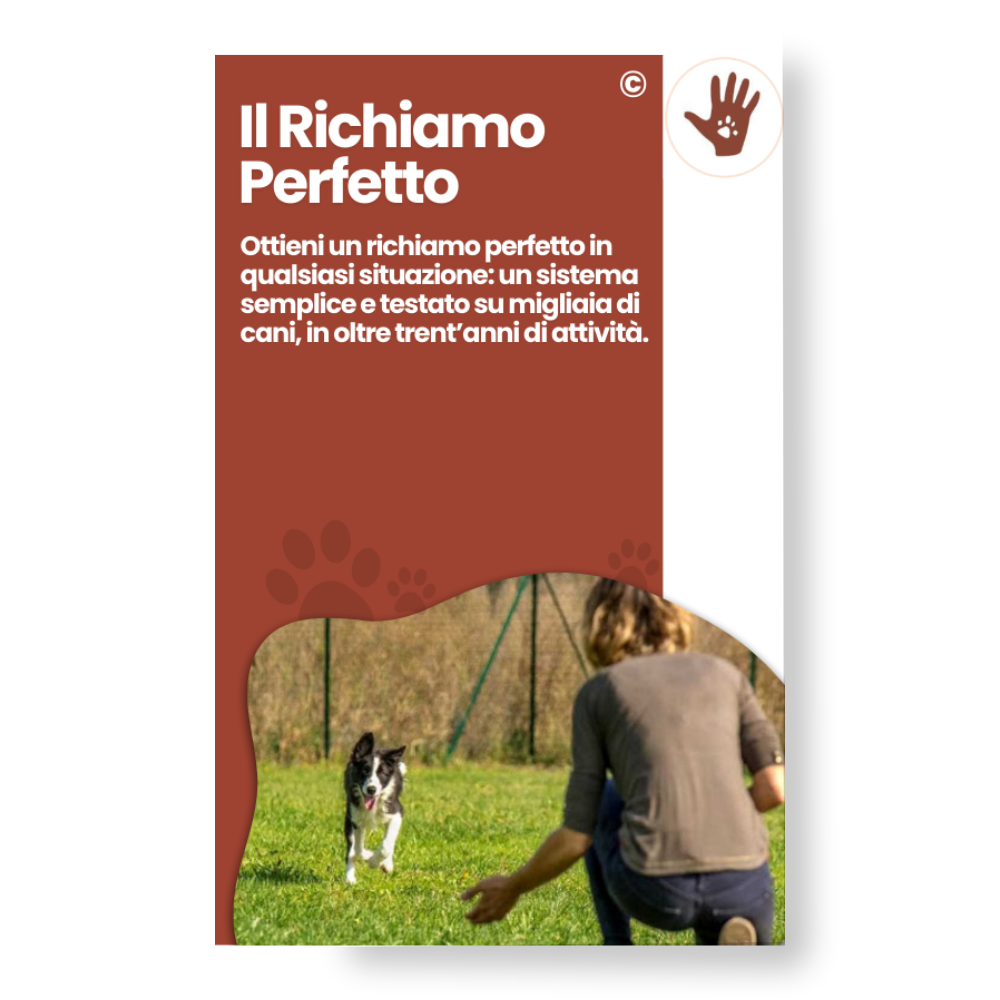 Il richiamo perfetto