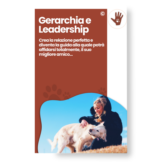 Gerarchia e leadership