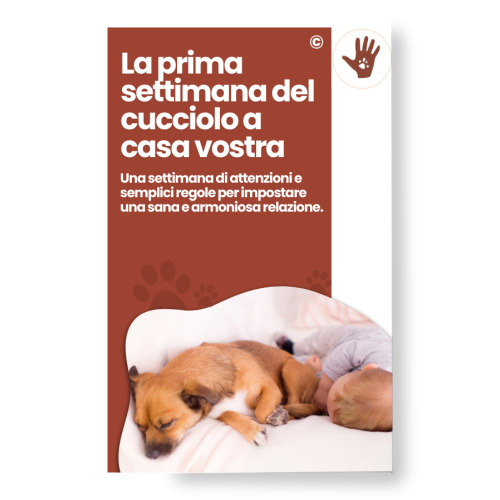 La prima settimana del cucciolo a casa vostra