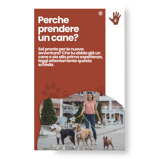 Perché prendere un cane?